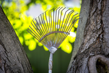 Gartenarbeit,Gartenrechen