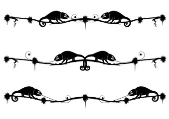 dividers with chameleon © tanais