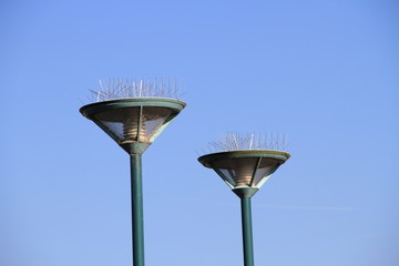 Lampe mit Vogelabwehr