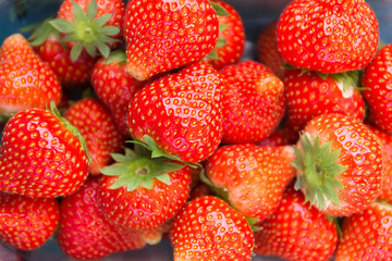 Box of strawberries, viewed from above.