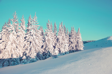 Majestic winter landscape
