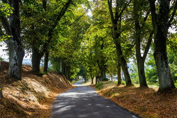 Obraz premium Road in Czech Republic