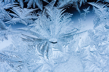 Ice flowers on glass - texture and background