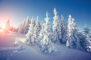 Majestic winter landscape