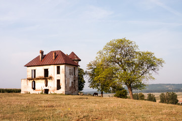 Old, abandoned, ruined house in the field with trees and herbs