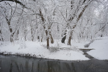 Snowing landscape in the park