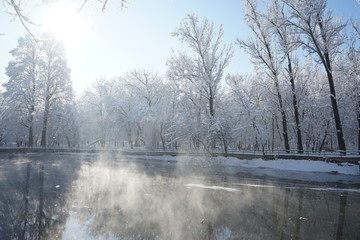 Obraz na płótnie Canvas Snowing landscape in the park