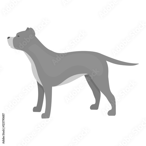 "Pitbull vector icon in monochrome style for web" Stock image and