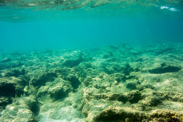 Naklejka na ściany i meble Underwater texture and fauna in Ionian sea, Zakynthos, Greece