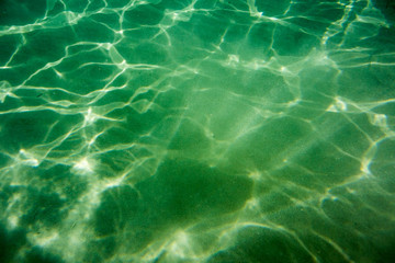 Underwater texture and fauna in Ionian sea, Zakynthos, Greece