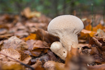 Color texture and background seamless pattern. Hand drawn seamless texture for invitations, cards, fabric, websites, wrapping paper, and other designs