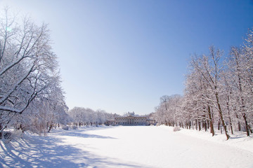 Snowy park in Warsaw
