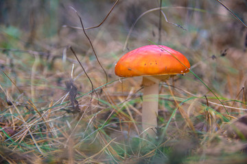 Color texture and background seamless pattern. Hand drawn seamless texture for invitations, cards, fabric, websites, wrapping paper, and other designs