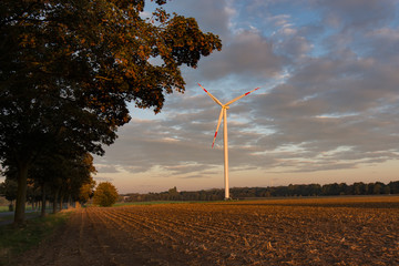 Windrad Erneuerbare Energie renewable energy