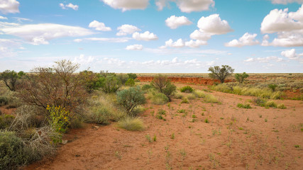 Outback Landschaft in den Flinders Ranges in Australien