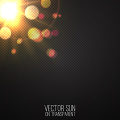Vector realistic sun on transparent 