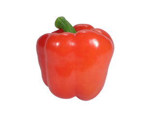 Red ripe bell pepper with green stem isolated on white background, close-up