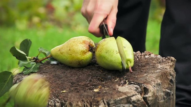 Woman cuts tree pear with knife. Slicing of vegetables and fruit on chopping deck outdoors. Woman roughly chopping vegetables and fruits using sharp knife