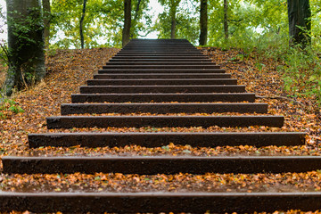 Stairway to heaven in the fall