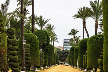 Fototapeta premium Cadiz, Spain. Genovese green park