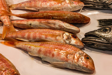 fish on market. Seafood, Spain