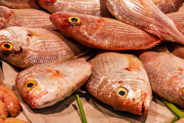fish on market. Seafood, Spain