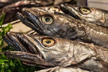 Fish on market, black scabbard (espada) in fish market Mercat de