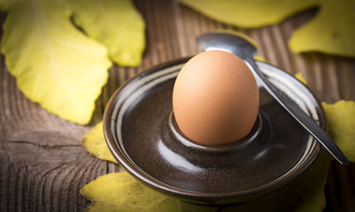 Boiled egg on wooden background with leaves