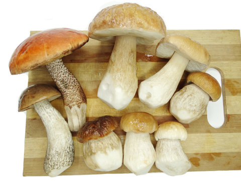 fresh mushrooms on cutting board