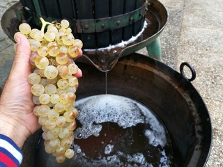 production of wine home