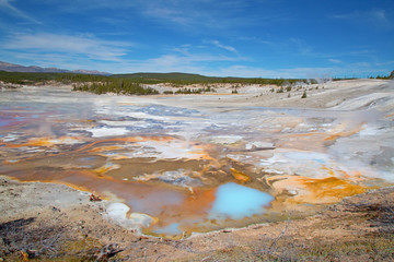 Norris geyser basin