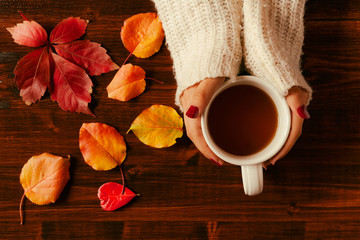 Woman hands holding teacup seen from above