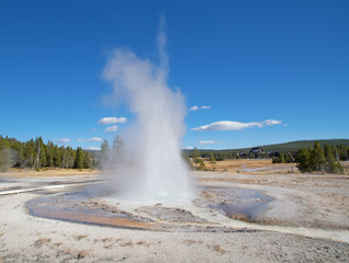 Geyser
