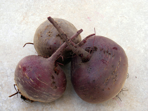 ORGANİK KIRMIZI PANCAR 