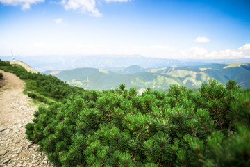 Fototapeta na wymiar View at Parang mountains,Romania