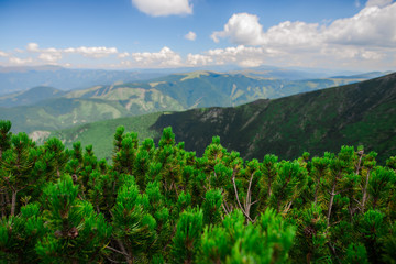 View at Parang mountains,Romania