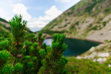 View at Parang mountains,Romania