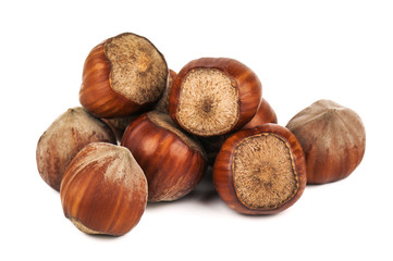 heap of ripe hazelnuts