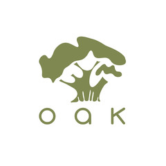 vector design template of the oak tree