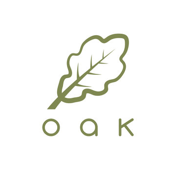 vector design template of the oak leaf