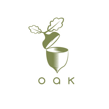 vector design template of acorn and oak leaf