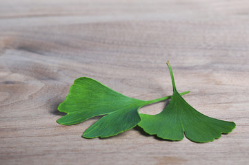 Ginkgo Biloba