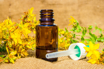 a remedy St. John's wort flower in a glass bottle closeup horizontal. 