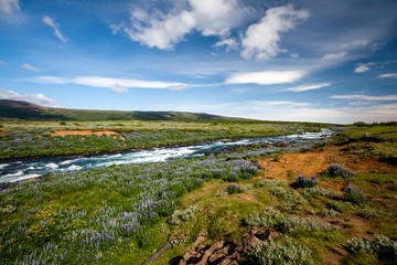 View at Icelandic plains during summertime