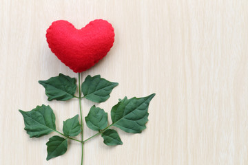 Red heart placed on a wooden table in connect with branches of t