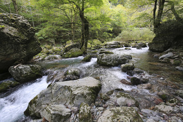 愛媛県内子町　小田深山渓谷　五色河原