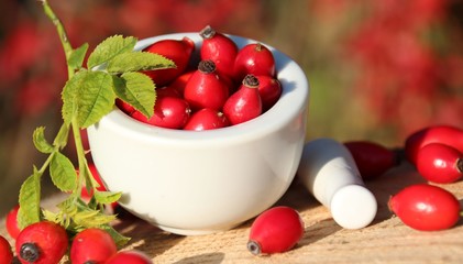 mörser und hagebutten