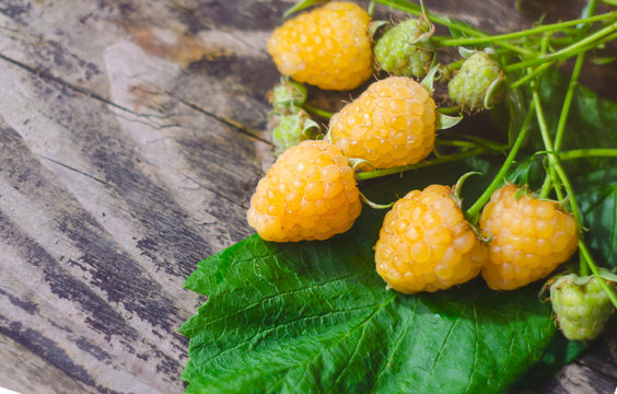 Yellow raspberry fruits with leafs on old textured wooden background. Organic berries closeup.