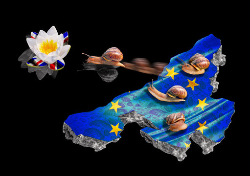 An abstract concept of brexit with a moving snail and national flags on black background with reflections