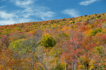 Indian Summer in New Hampshire